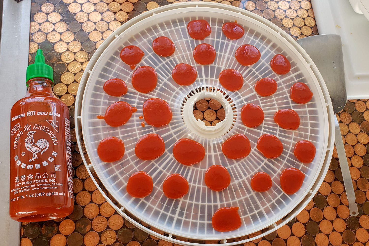 dehydrate sriracha coins to add spice to any meal.
