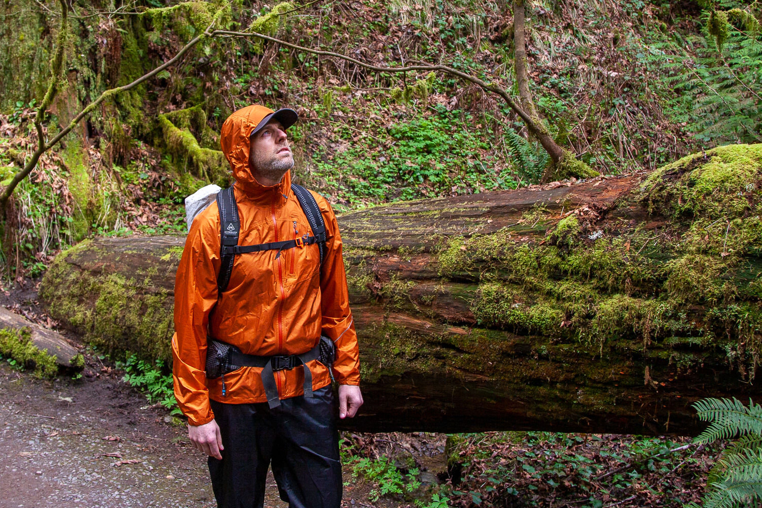 The Outdoor Research Helium Rain Jacket is an affordable ultralight option for backpacking