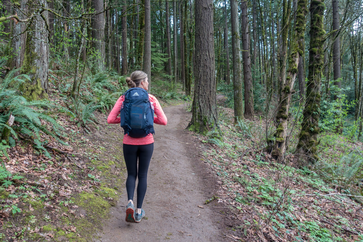 A hiker wearing the Gregory Juno 24 H2O on a forest trail in the Pacific Northwest