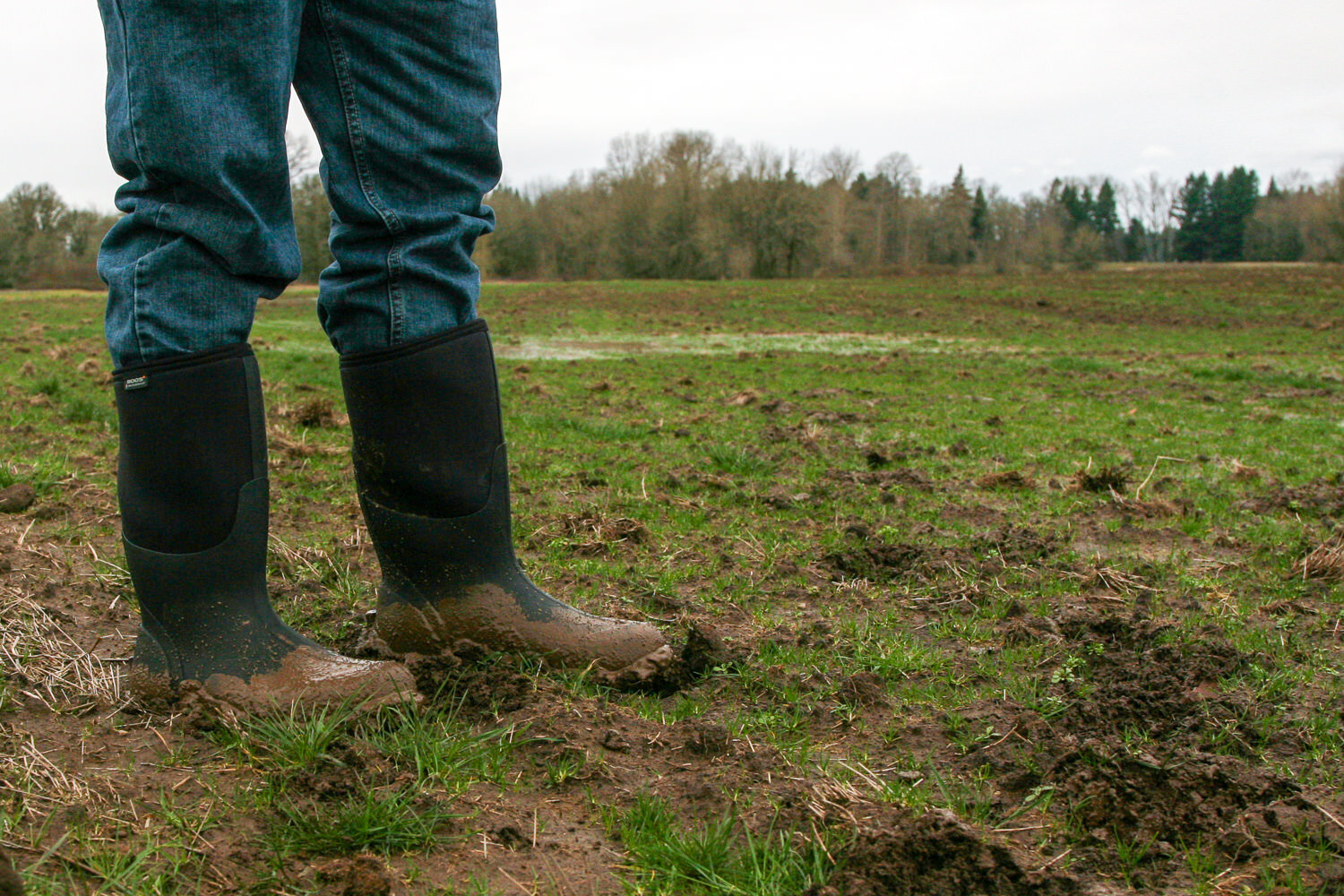 Tall rain boots, like the Bogs Classic High Boots, are perfect for really muddy conditions.