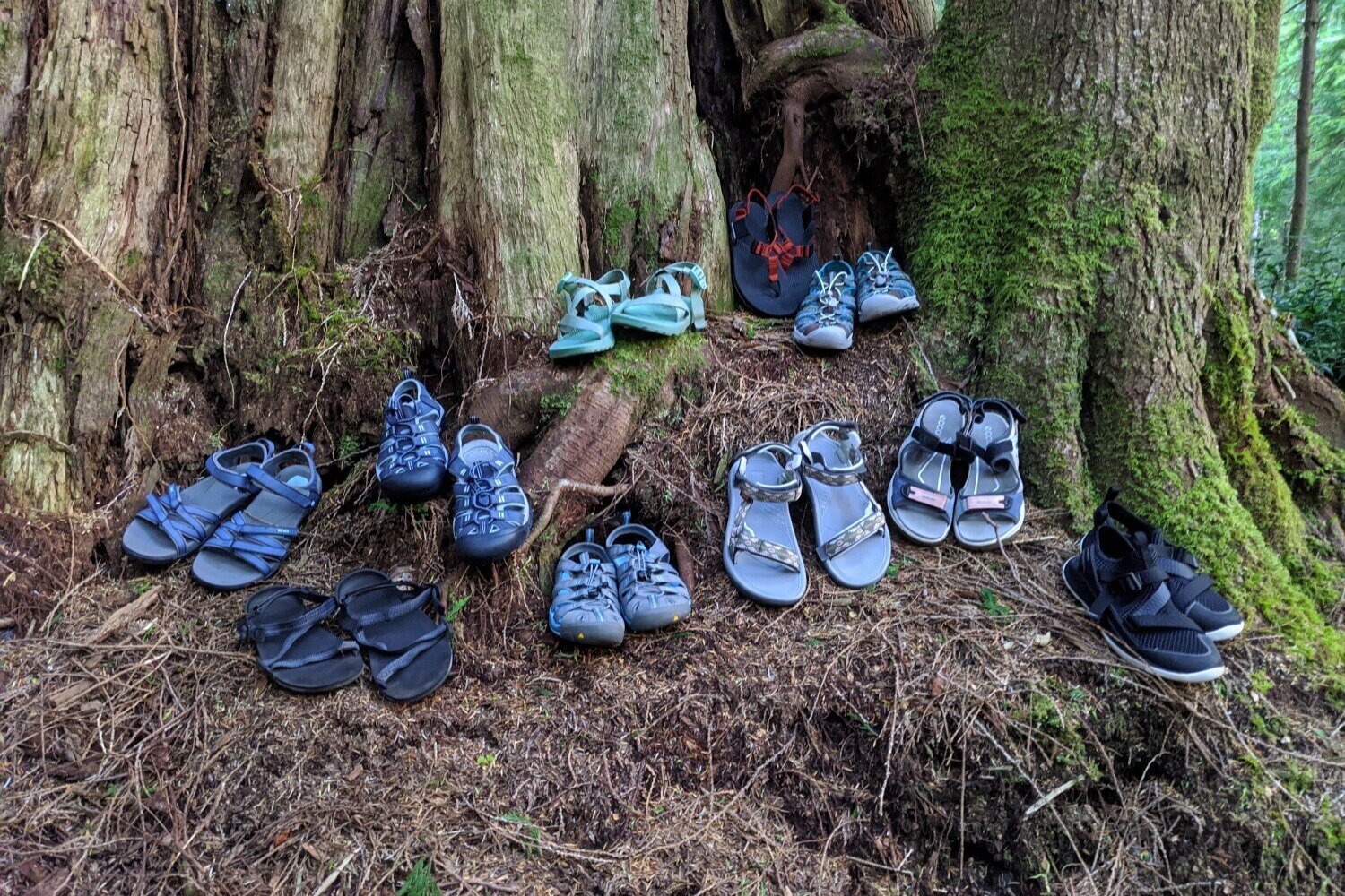 We own and use all of the hiking sandals we recommend.