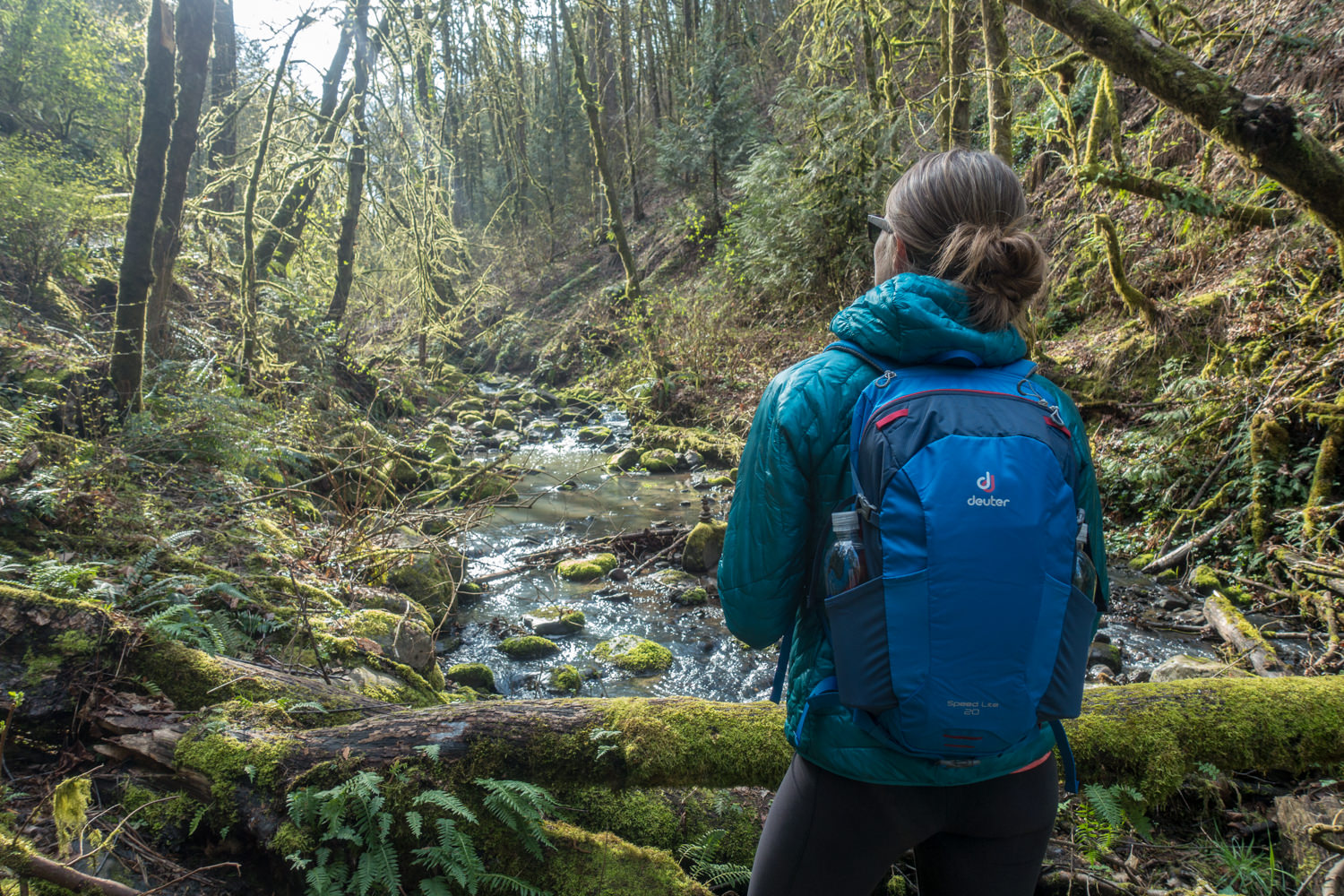 A hiker wearing a Deuter Speedlite Daypack looking at a mossy forest scene with a stream running through it