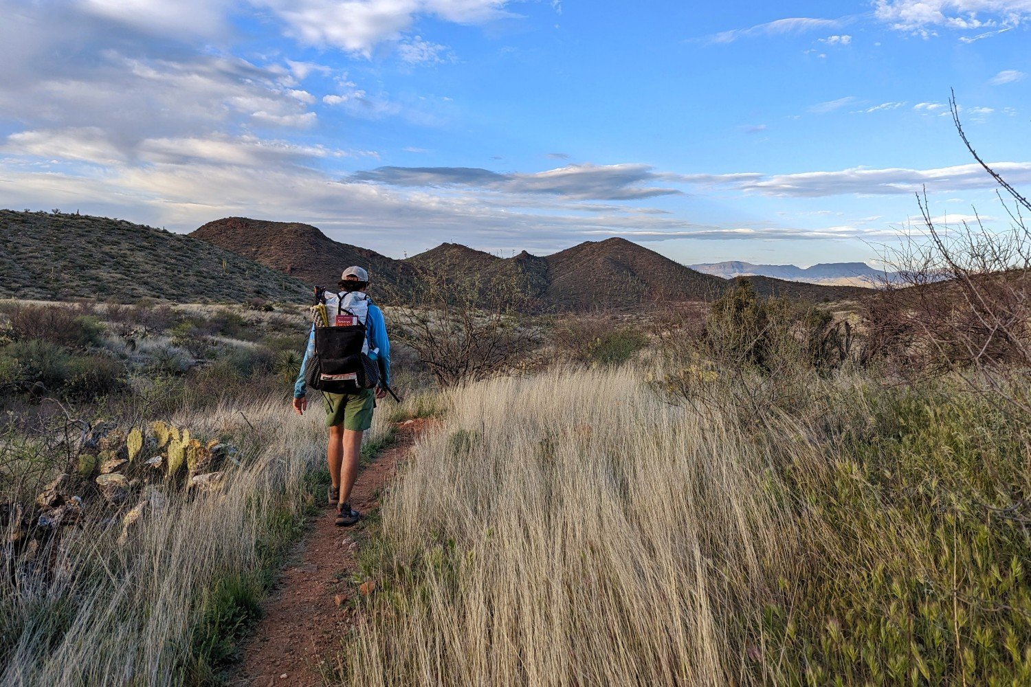 A backpacker wearing REIs Trailmade Amphib shorts hiking on a trail in the desert thats lined with dry grass and cacti - there are cactus covered mountains in the distance