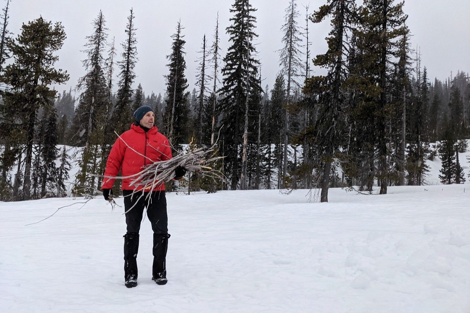 A hiker in the snow carrying an armload of gathered wood