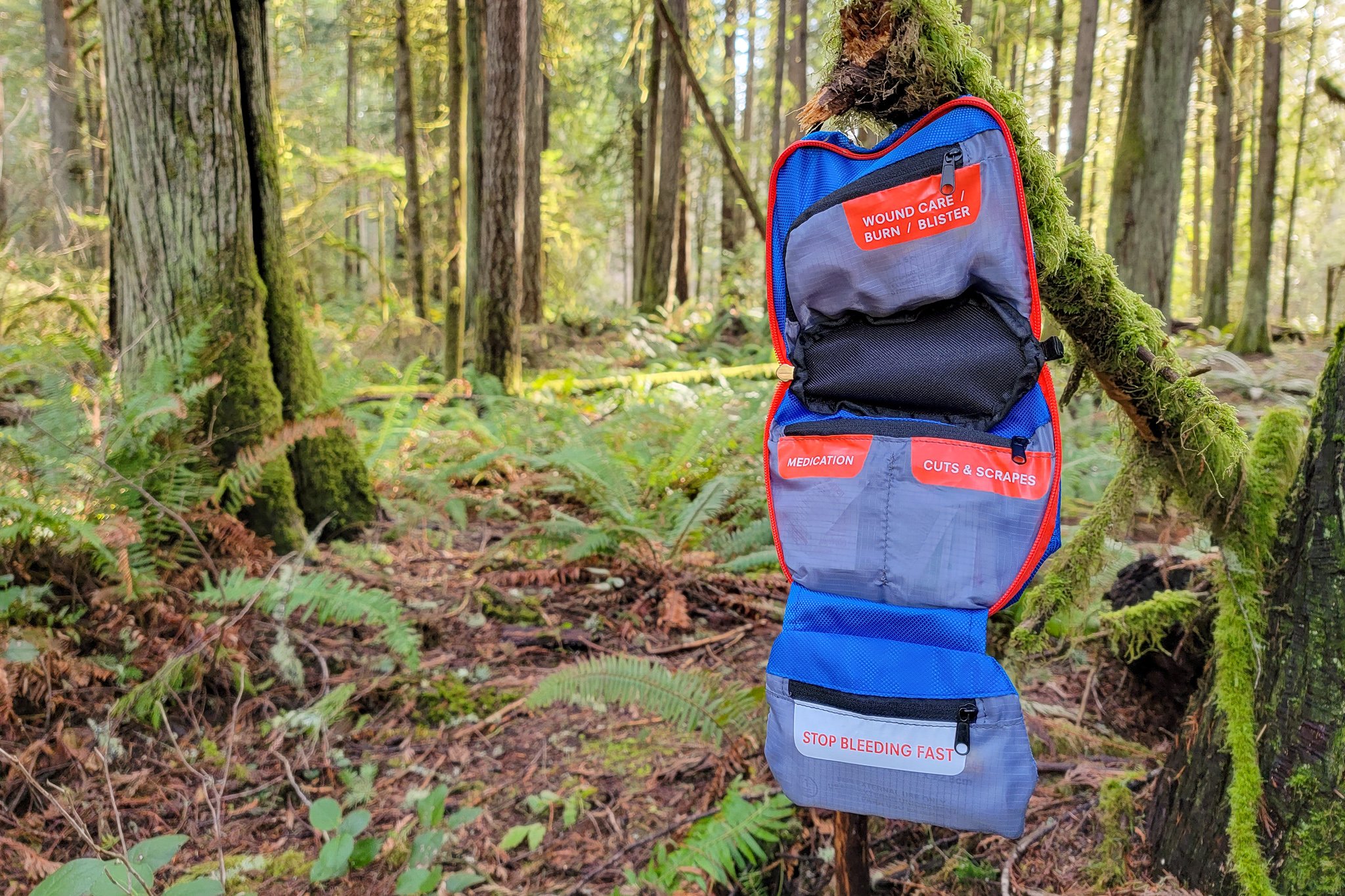 The Adventure Medical Kits Hiker First Aid Kit hanging from a branch in a fern-filled forest