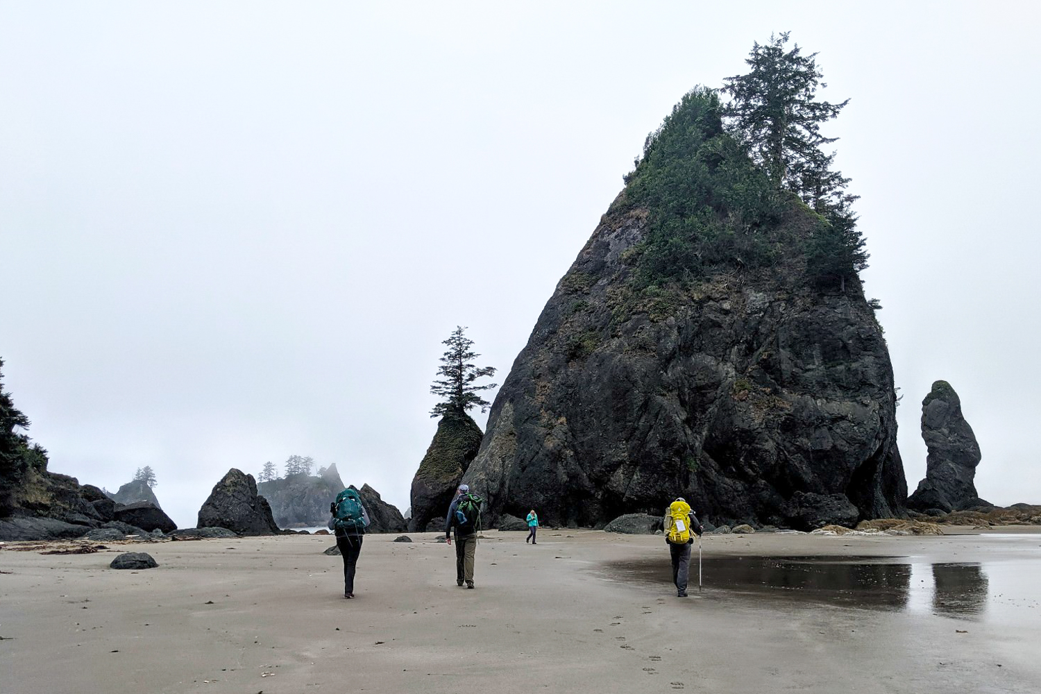 North Coast Route - Olympic National Park