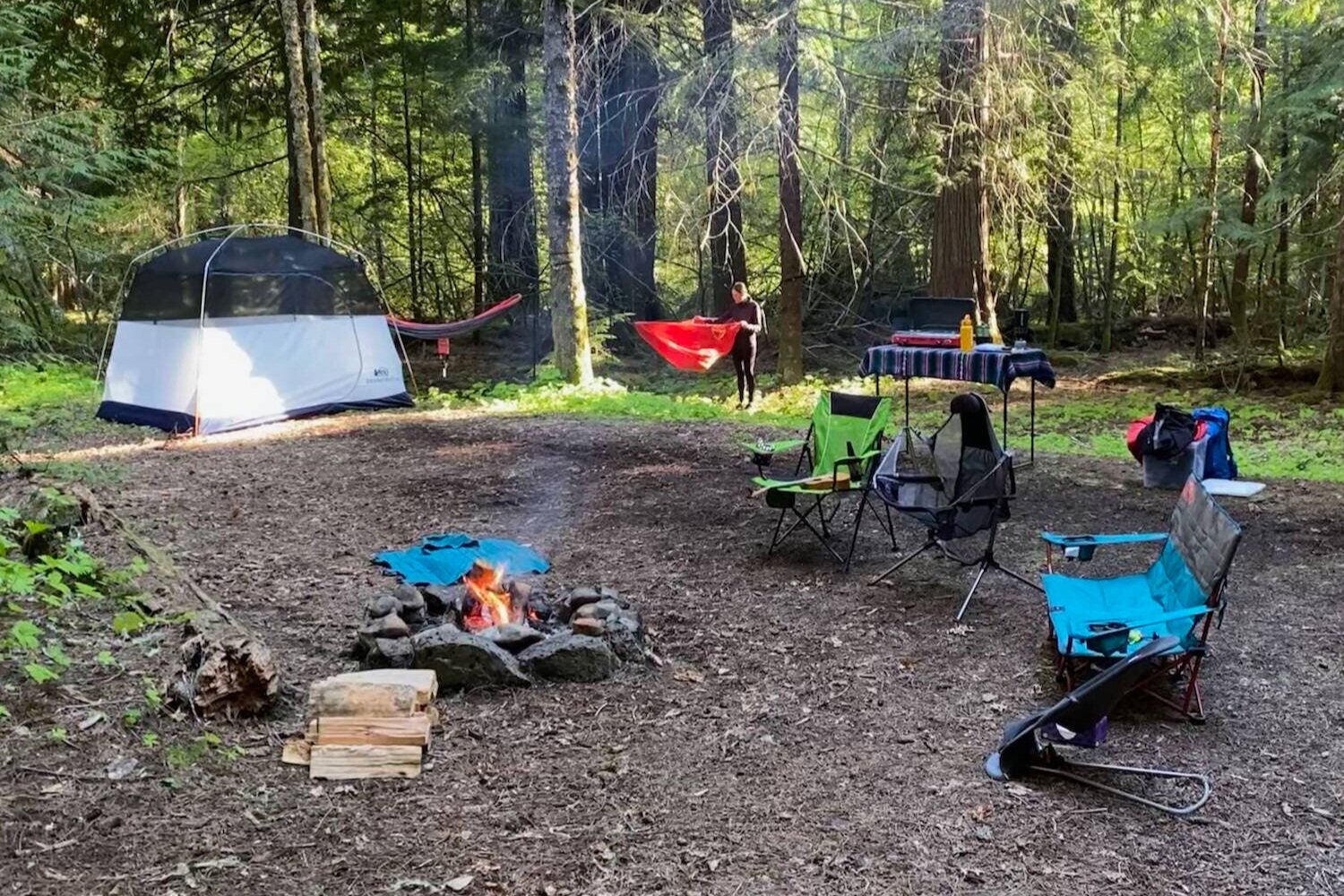 The REI Grand Hut 4 in the Backwoods of the Pacific Northwest