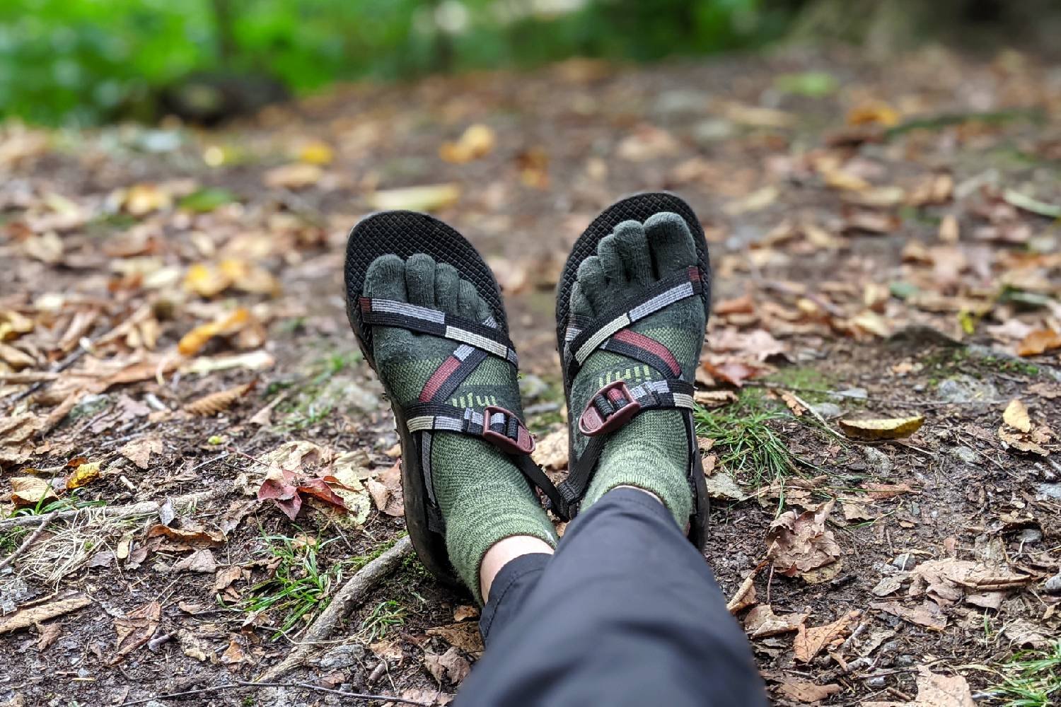 A hiker's feet wearing Injinji toe socks and Chaco Z1 Classic sandals with a blurred forest background