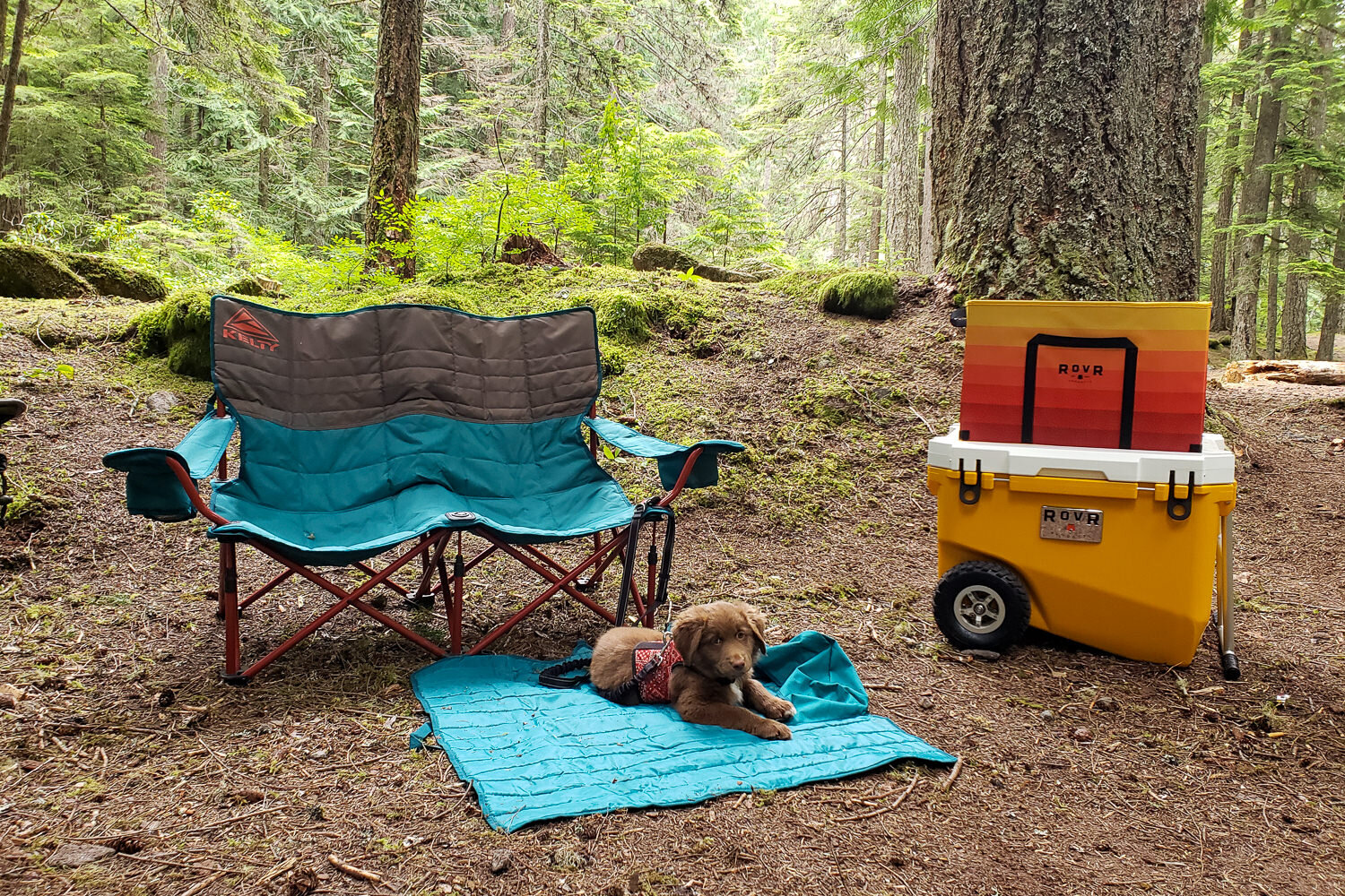 The Rollr Rovr 60 Cooler is great for walk-in campsites since it’s portable and has a nifty storage bin for hauling gear